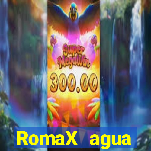 RomaX agua sanitaria fispq agua sanitaria romax